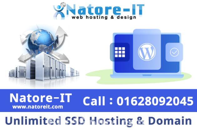 Unlimited SSD Hosting & Domain